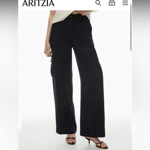 Aritzia Babaton New Bridger Cargo Pant